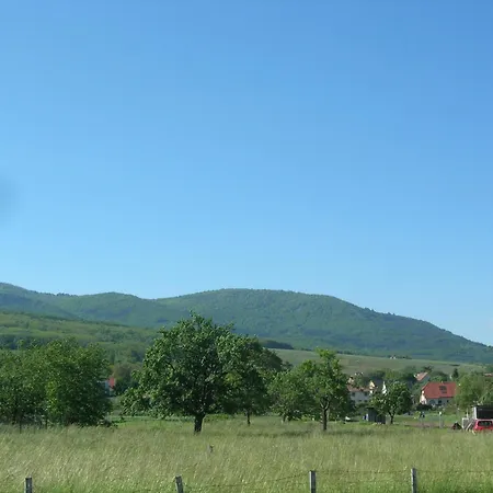 Apartment Alsace Porte Des Vosges